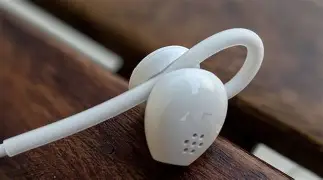 Why Everyone is Buying the Pixel Usb C Earbuds (Full Review)